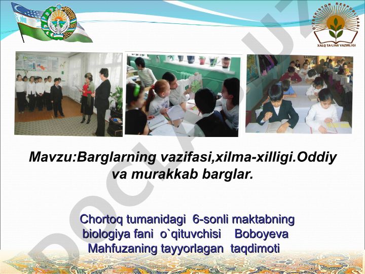 Barglarning vazifasi, xilma-xilligi. Oddiy va murakkab barglar