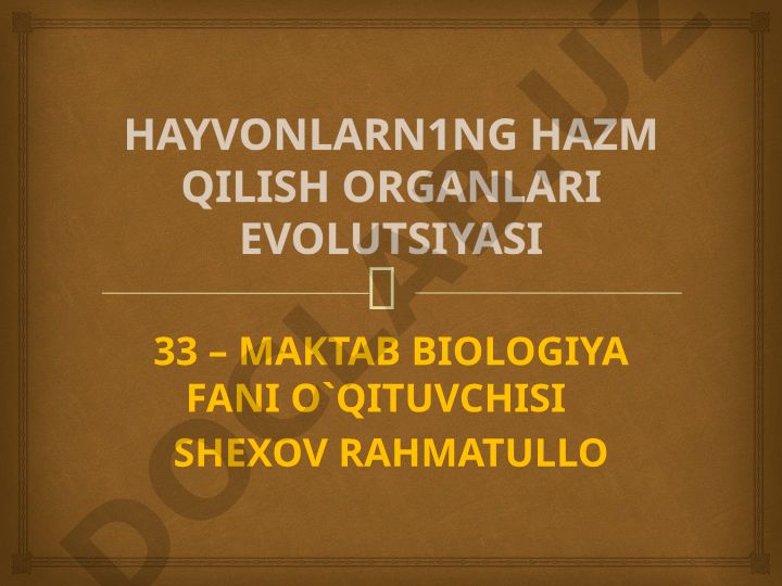 Hayvonlarning hazm qilish organlari evolyutsiyasi
