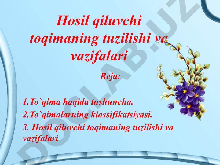 Hosil qiluvchi toqimaning tuzilishi va vazifalari