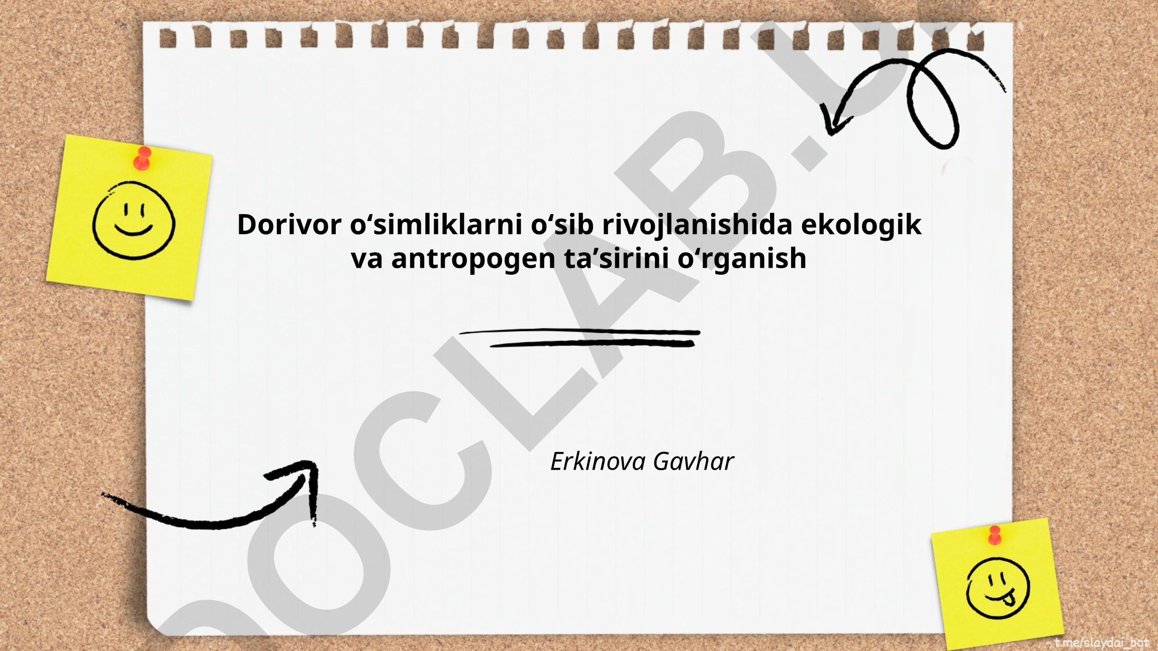 Dorivor oʻsimliklarni oʻsib rivojlanishida ekologik va antropogen taʼsirini oʻrganish