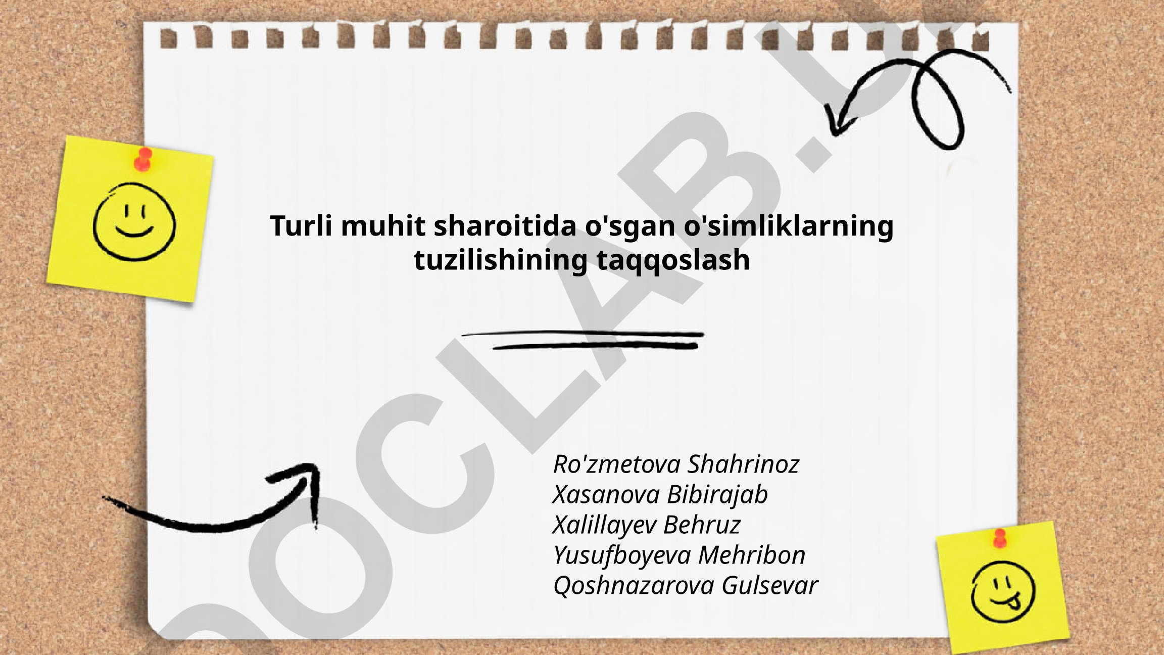 Turli muhit sharoitida o'sgan o'simliklarning tuzilishining taqqoslash
