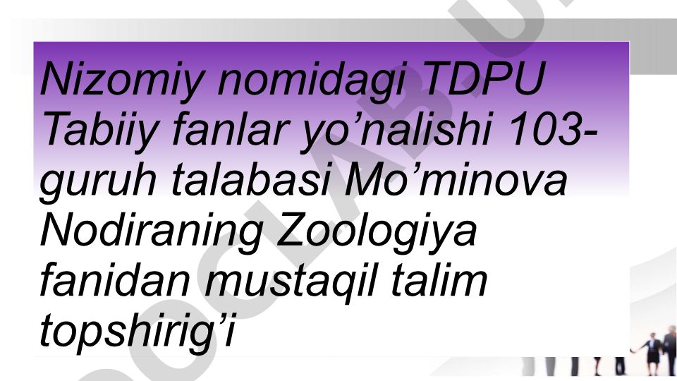 To'garak chuvalchanglarning tuzilishi va xususiyatlari