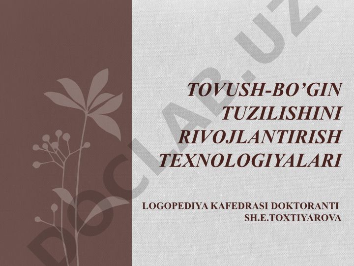 Tovush-bo'gin tuzilishini rivojlantirish texnologiyalari