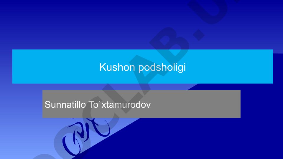 Kushon podsholigi tarixi va rivojlanishi