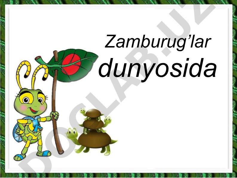Zamburug'lar dunyosi va o'rmon ekotizimidagi ahamiyati