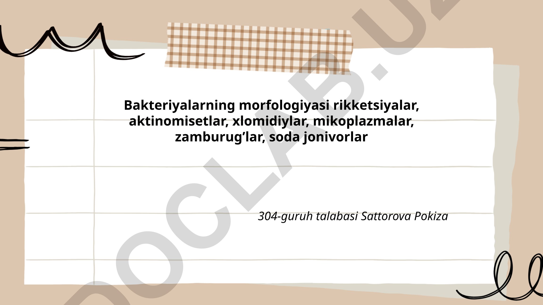 Bakteriyalarning morfologiyasi va turlari