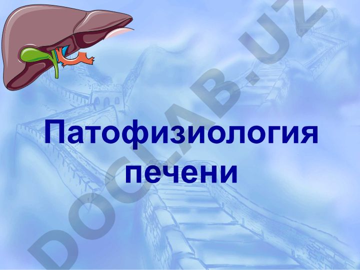Патофизиология печени: структура, функции и нарушения метаболизма