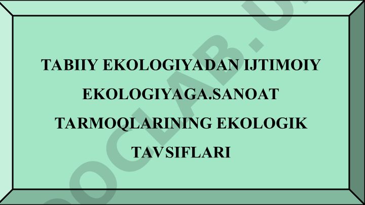 Tabiiy ekologiyadan ijtimoiy ekologiyaga. Sanoat tarmoqlarining ekologik tavsiflari