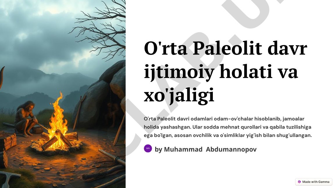 O'rta Paleolit davr ijtimoiy holati va xo'jaligi