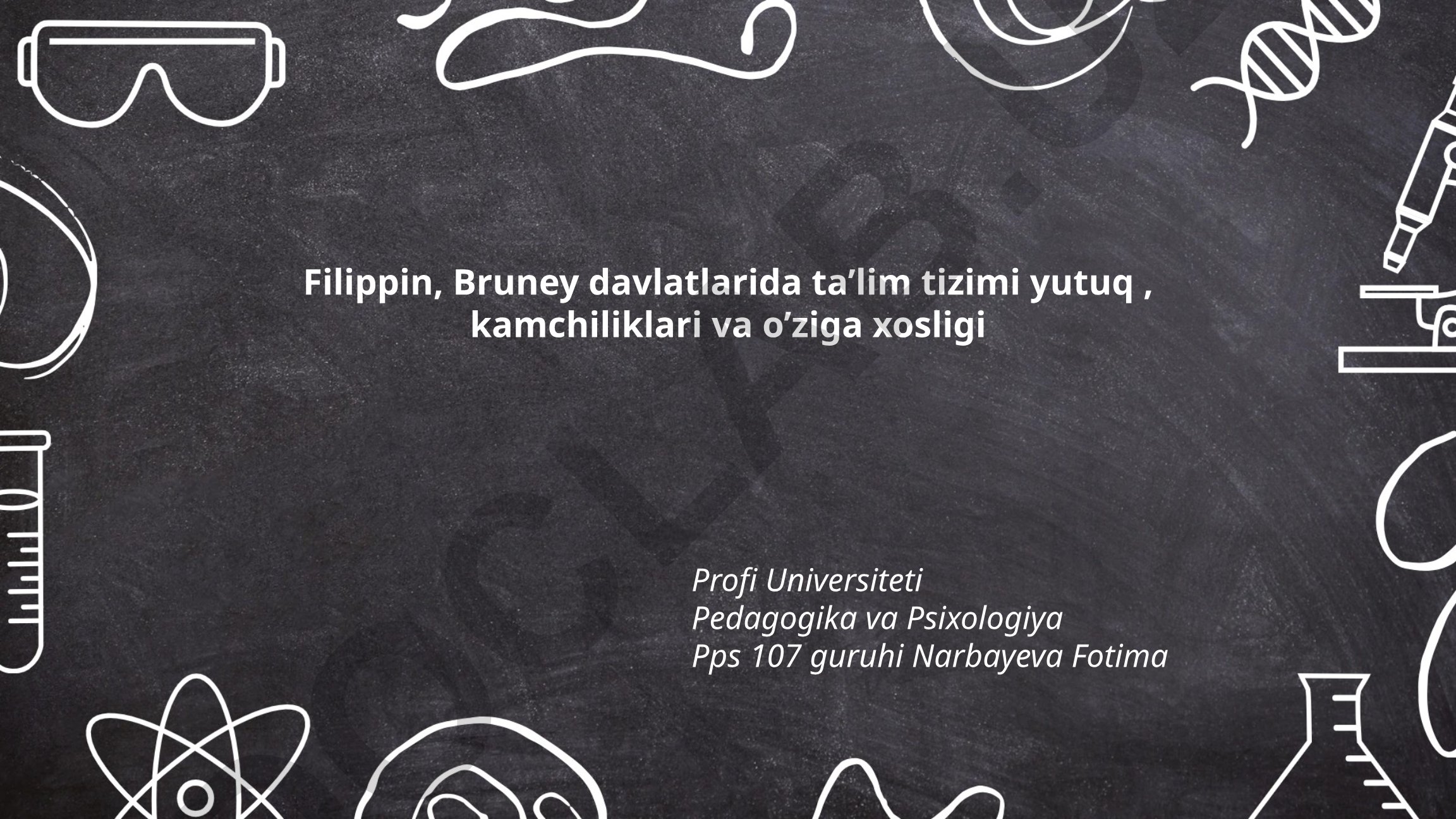 Filippin va Bruney davlatlarida ta'lim tizimlari: yutuqlar, kamchiliklar va o'ziga xosliklar