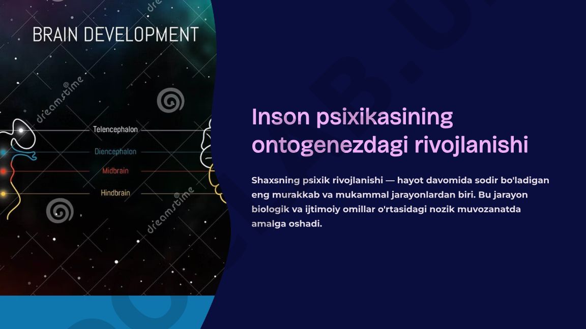 Inson psixikasining ontogenezdagi rivojlanishi