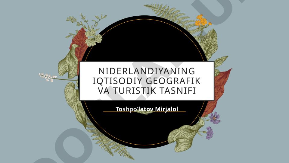 Niderlandiyaning iqtisodiy geografik va turistik tasnifi