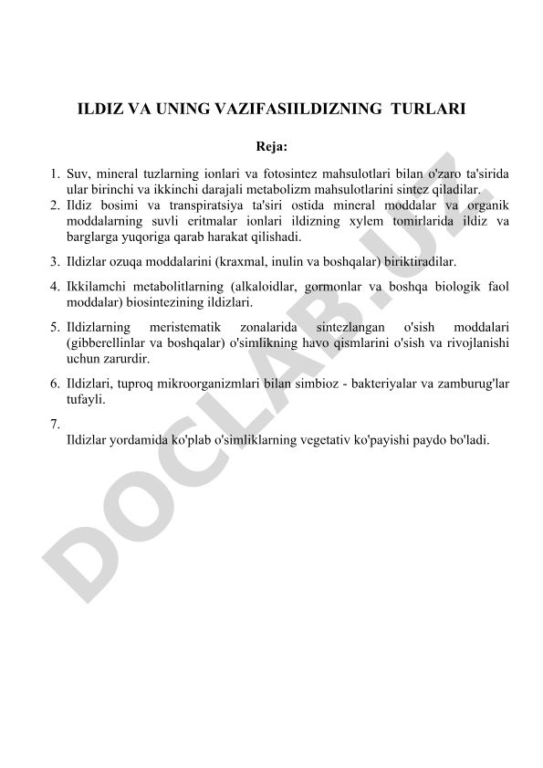 Ildizning tuzilishi va funksiyalari