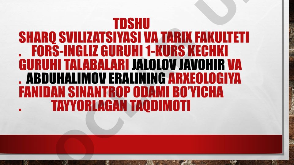 Sinantrop odami: topilishi, turmush tarzi va manzilgohlari