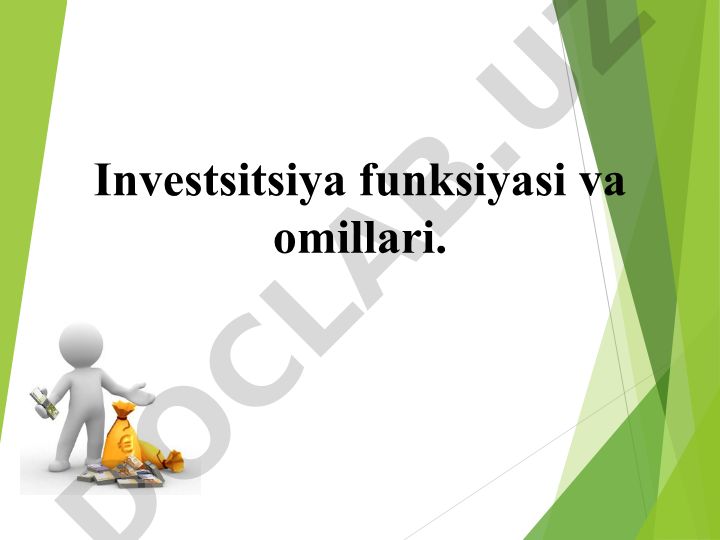 Investitsiya funksiyasi va omillari