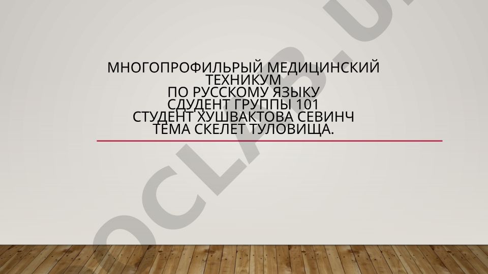 Скелет туловища
