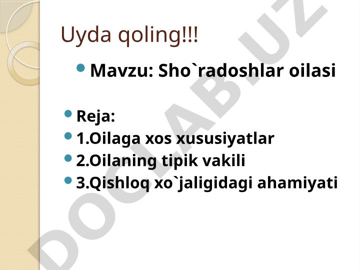 Shoʻradoshlar oilasi xususiyatlari va qishloq xoʻjaligidagi ahamiyati