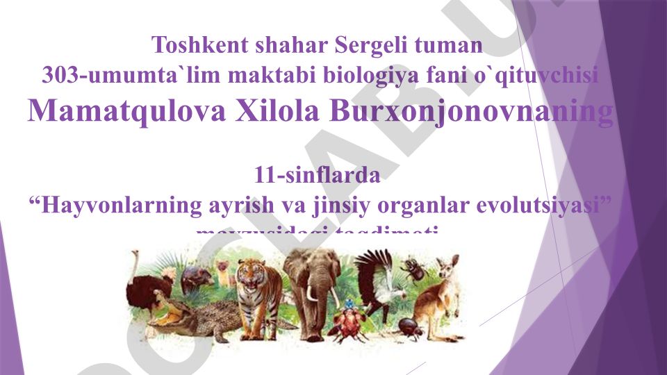 Hayvonlarning ayrish va jinsiy organlari evolutsiyasi