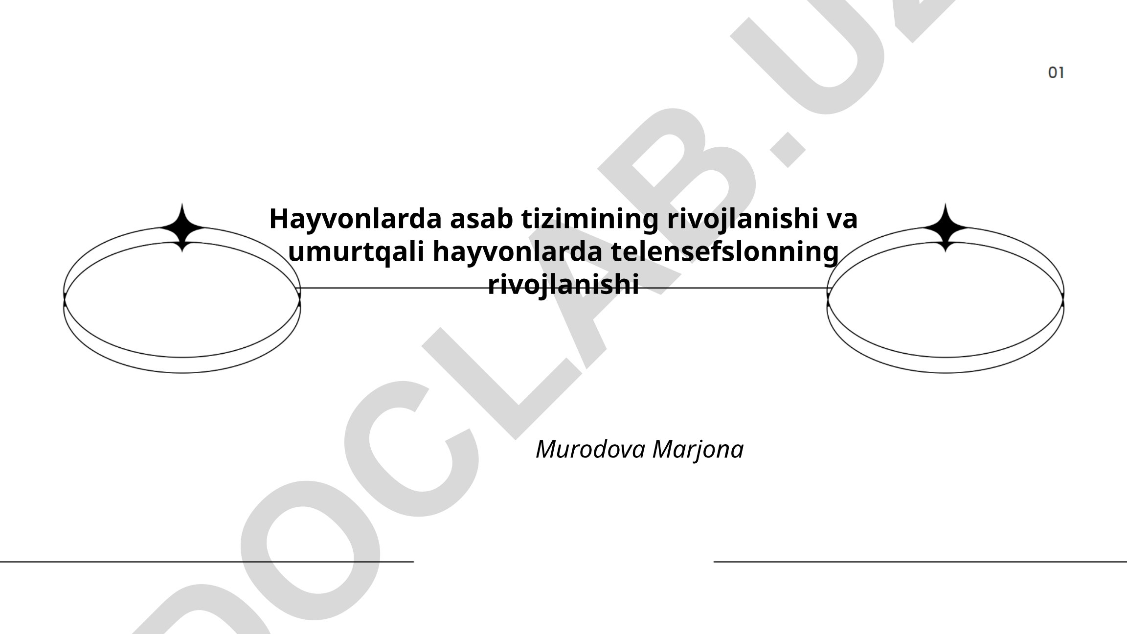 Hayvonlarda asab tizimining rivojlanishi va umurtqali hayvonlarda telensefslonning rivojlanishi