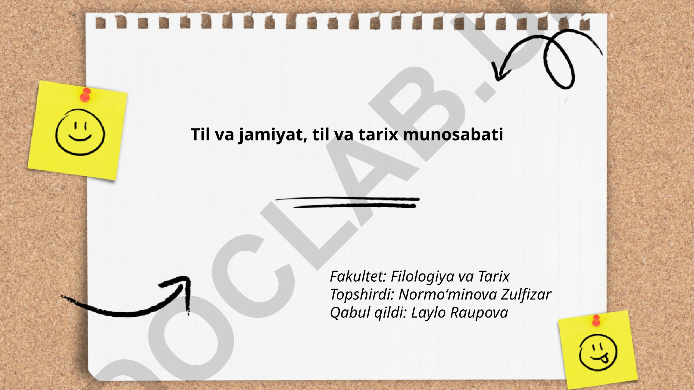 Til va jamiyat, til va tarix munosabati