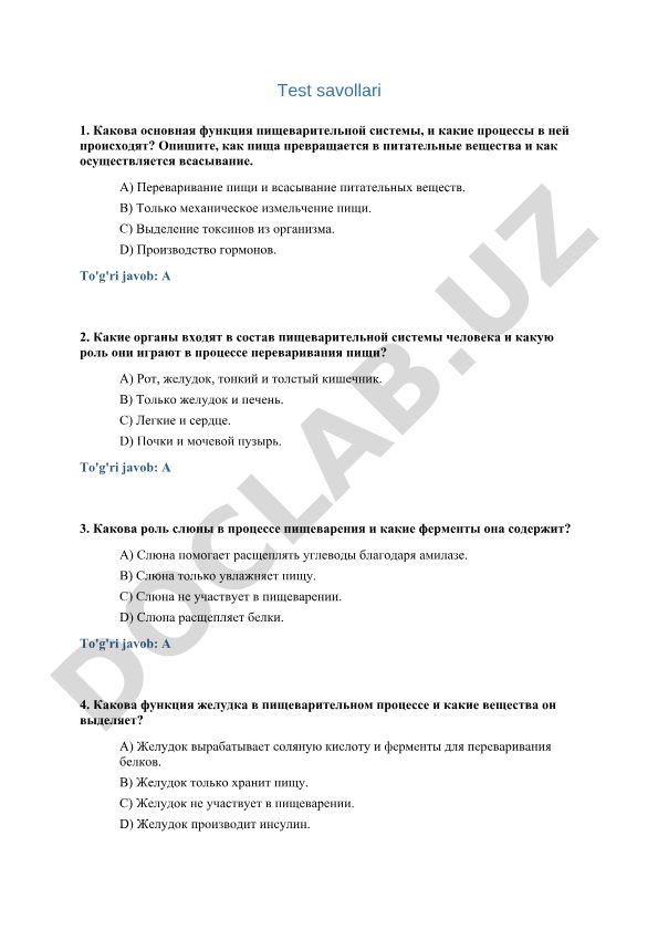 Пищеварительная система человека: функции, органы и процессы