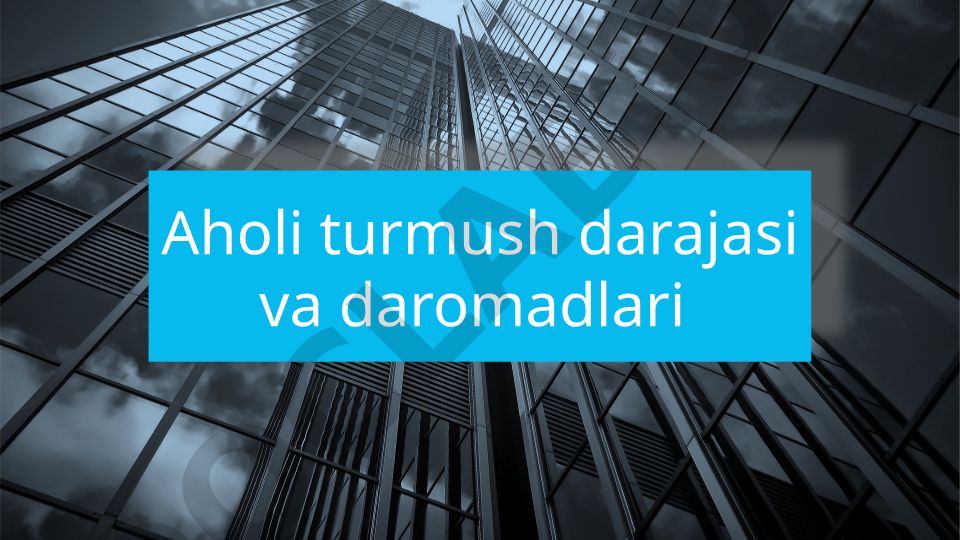 Aholi turmush darajasi va daromadlari tushunchalari