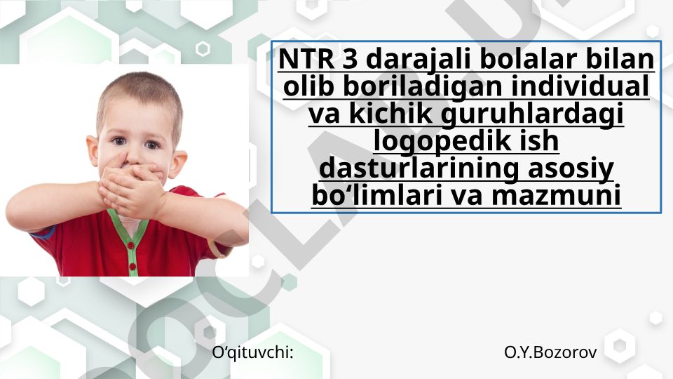 NTR 3 darajali bolalar bilan logopedik ish dasturlari