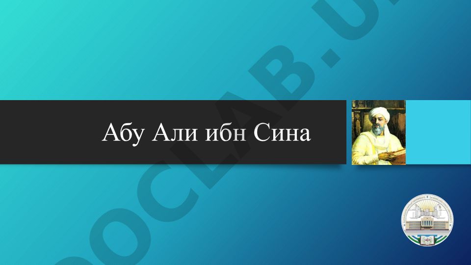 Абу Али ибн Сина: биография и достижения