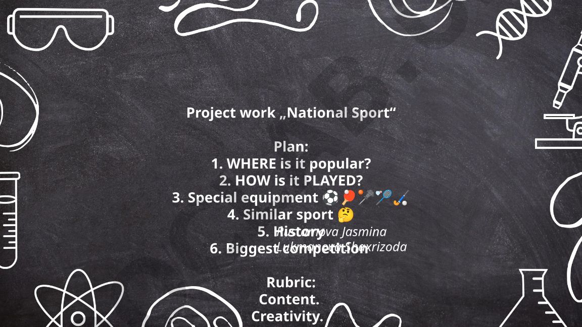 National Sport Project Work