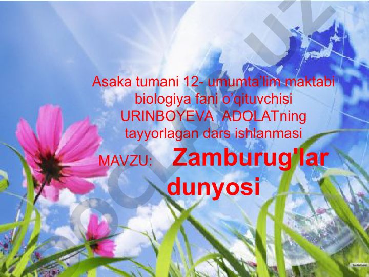 Zamburug'lar dunyosi