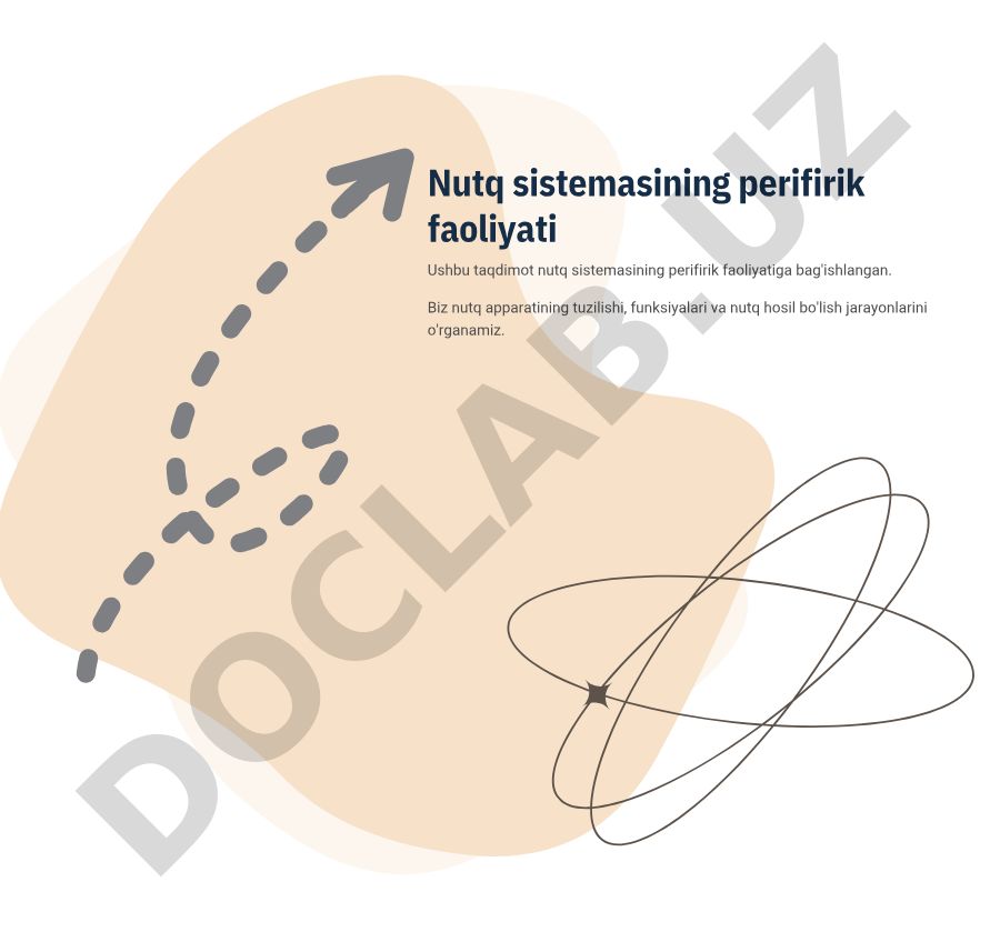 Nutq sistemasining perifirik faoliyati