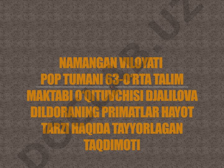 Primatlarning hayot tarzi
