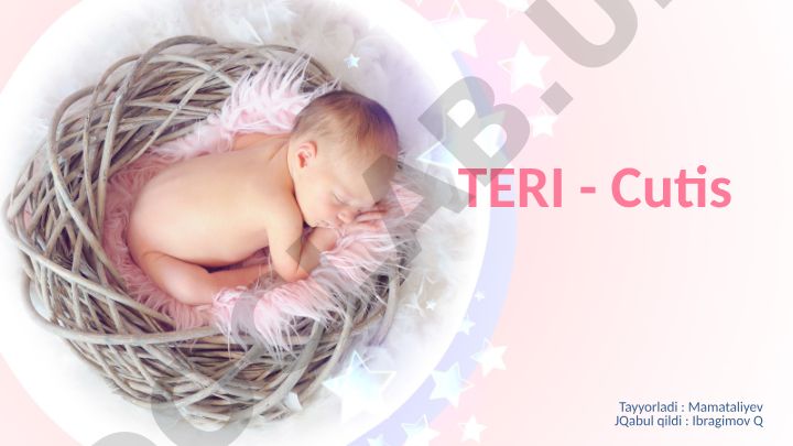 Teri haqida umumiy tushuncha, vazifalari va kasalliklari