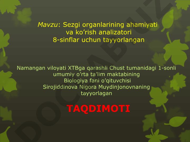 Sezgi organlarining ahamiyati va ko'rish analizatori