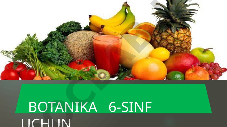 Gulxayridoshlar oilasi va yopiq urug'li o'simliklar