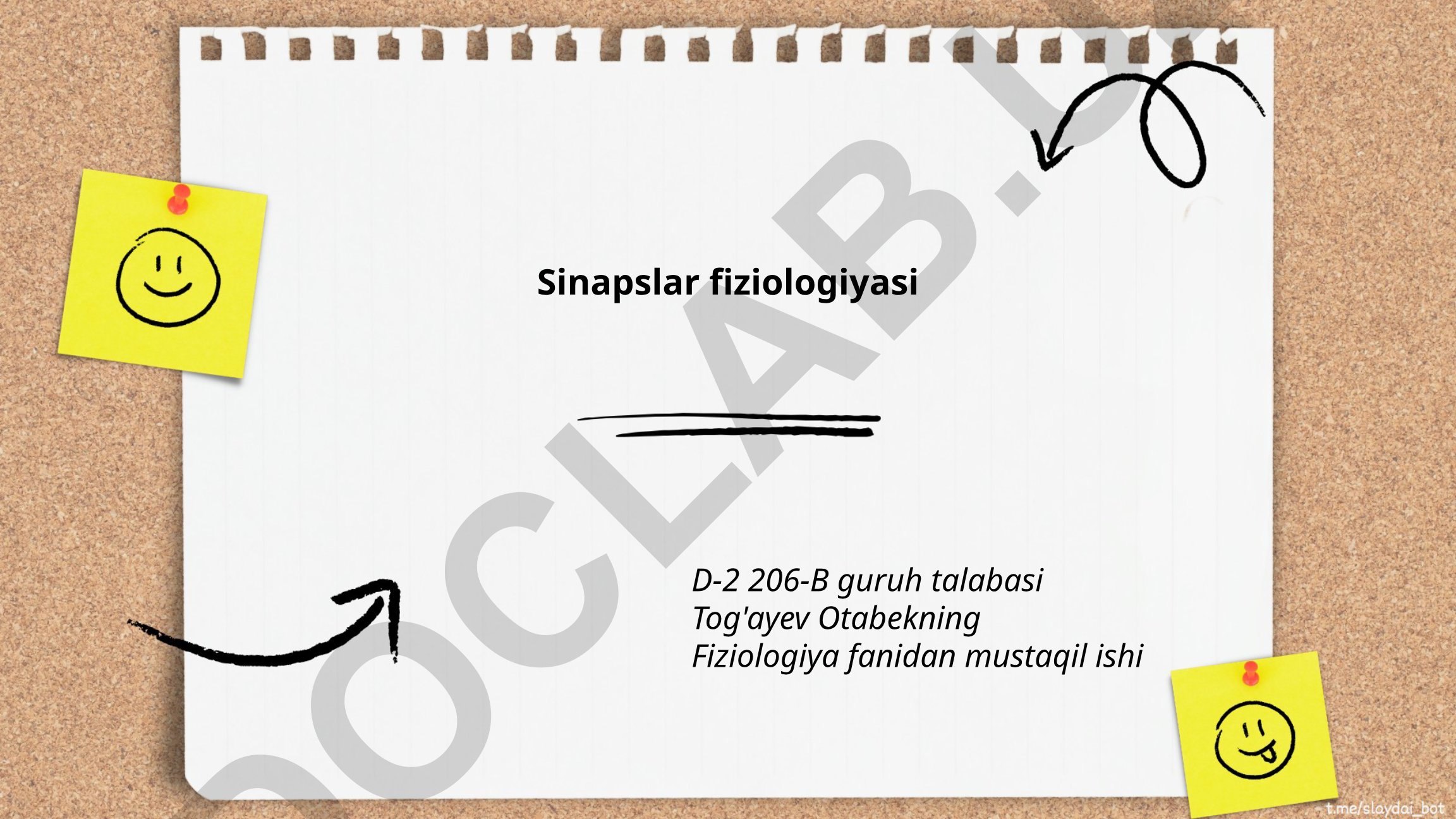 Sinapslar fiziologiyasi