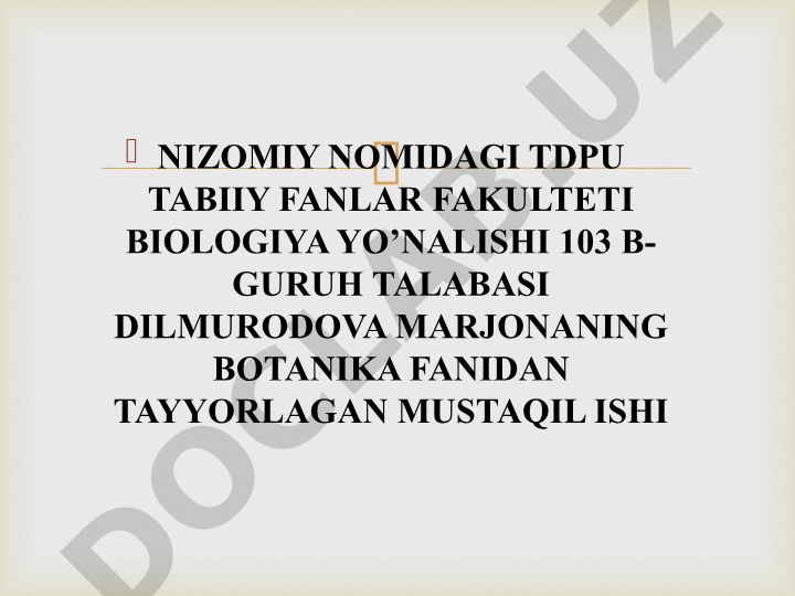 Jinssiz ko'payish turlari