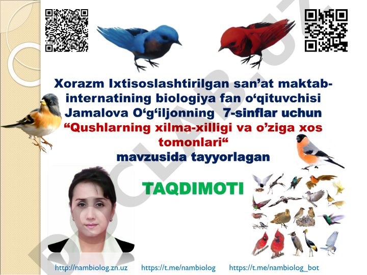 Qushlarning xilma-xilligi va o'ziga xos tomonlari