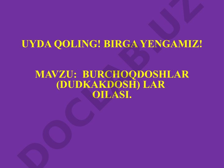 Burchoqdosh (dukkakdosh) lar oilasining umumiy xususiyatlari va vakillari