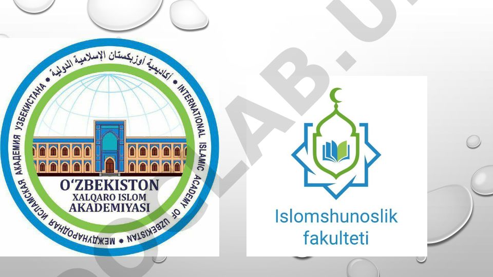 Arab tilidagi fors va turkiy manbalar