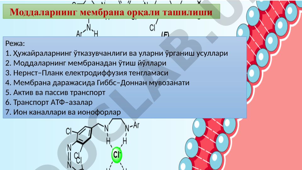 Ҳужайра мембраналари ва моддаларнинг ташилиш механизмлари