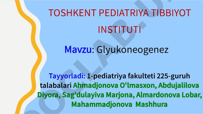 Glyukoneogenez