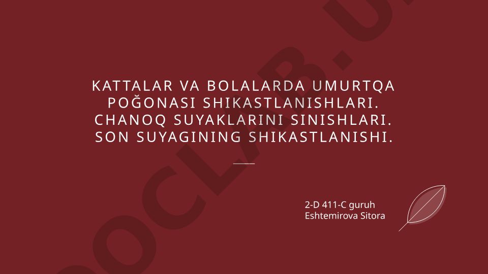 Umurtqa pog'onasi shikastlanishlari va chanoq suyaklari sinishlari