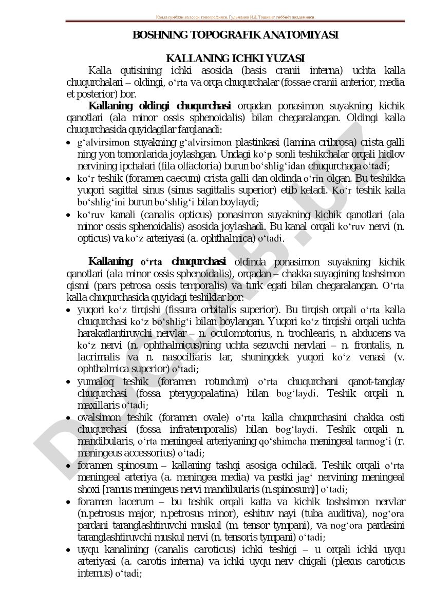 Kallaning topografik anatomiyasi va ichki yuzasi