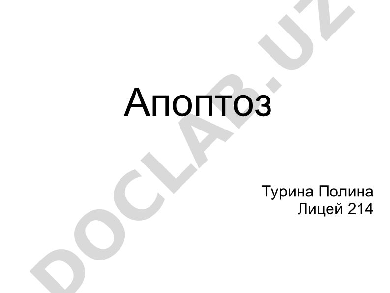Апоптоз - программируемая клеточная смерть