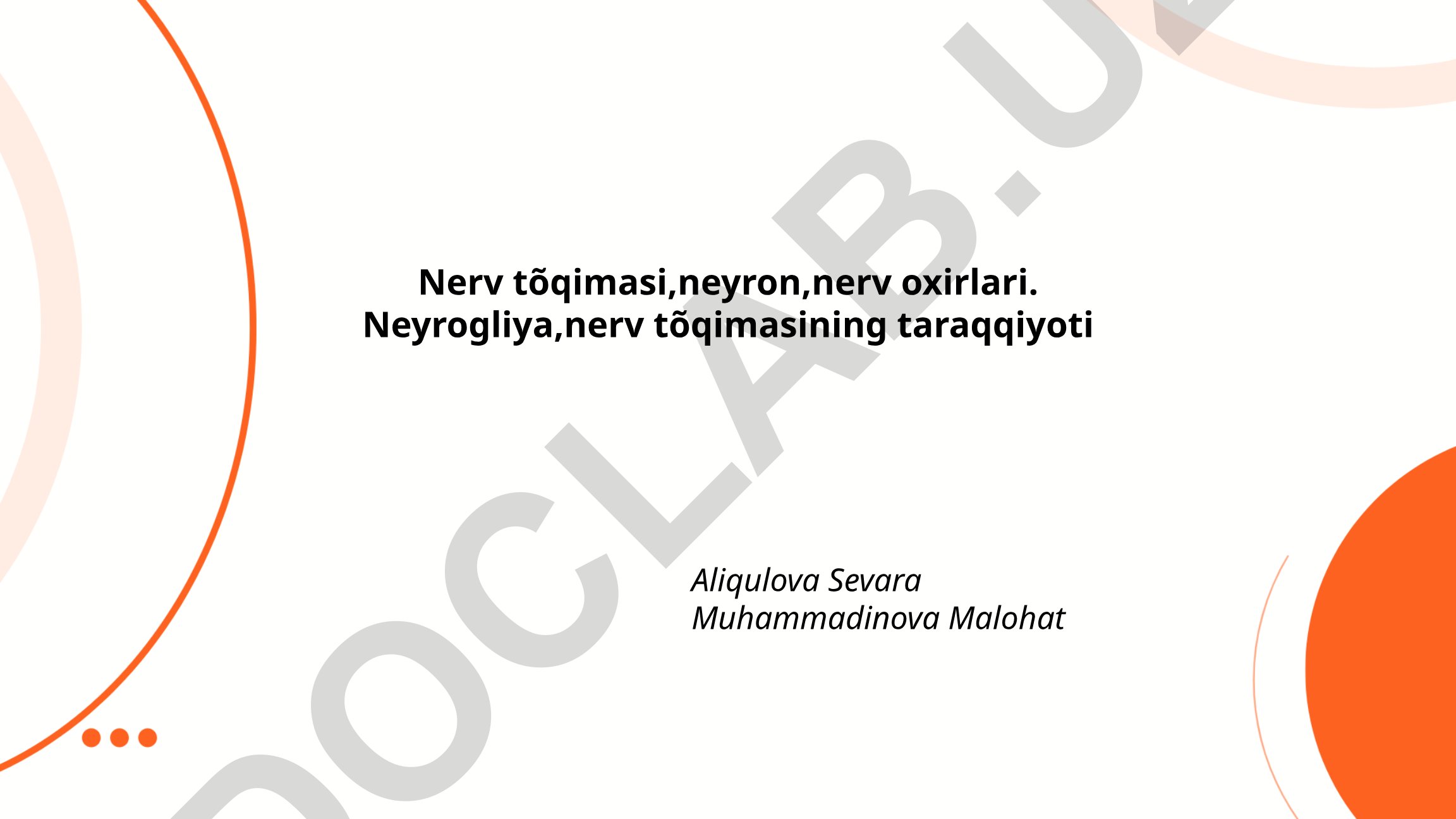 Nerv to'qimasining tuzilishi va funktsiyalari