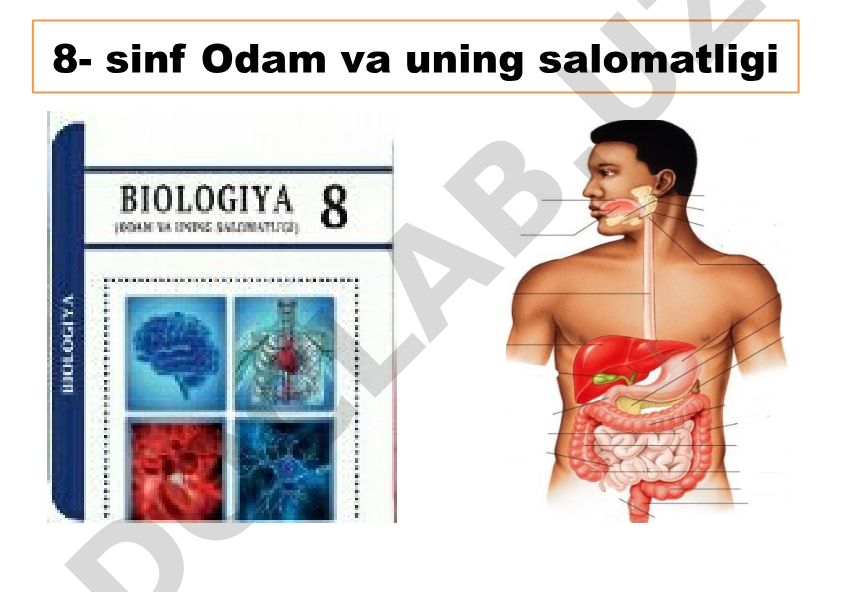Tibbiyot fanining rivojlanish tarixi va odam salomatligi
