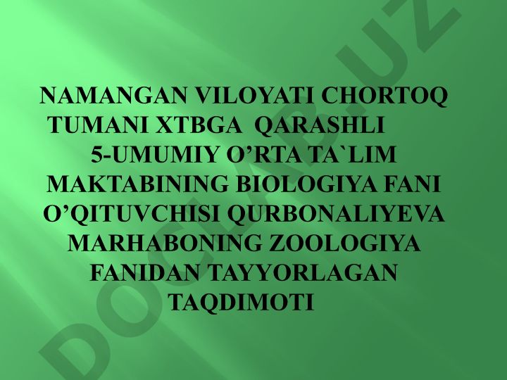 Yirtqich sutemizuvchilar turkumi