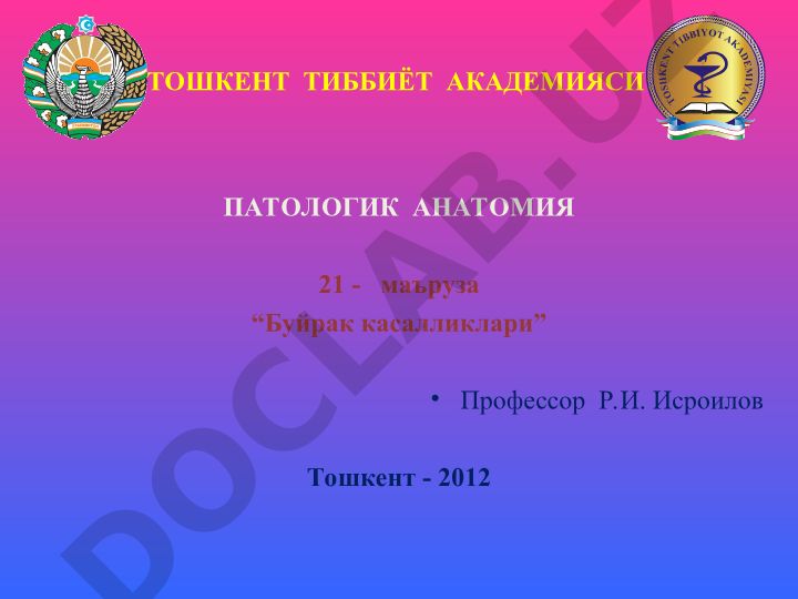 Буйрак касалликлари