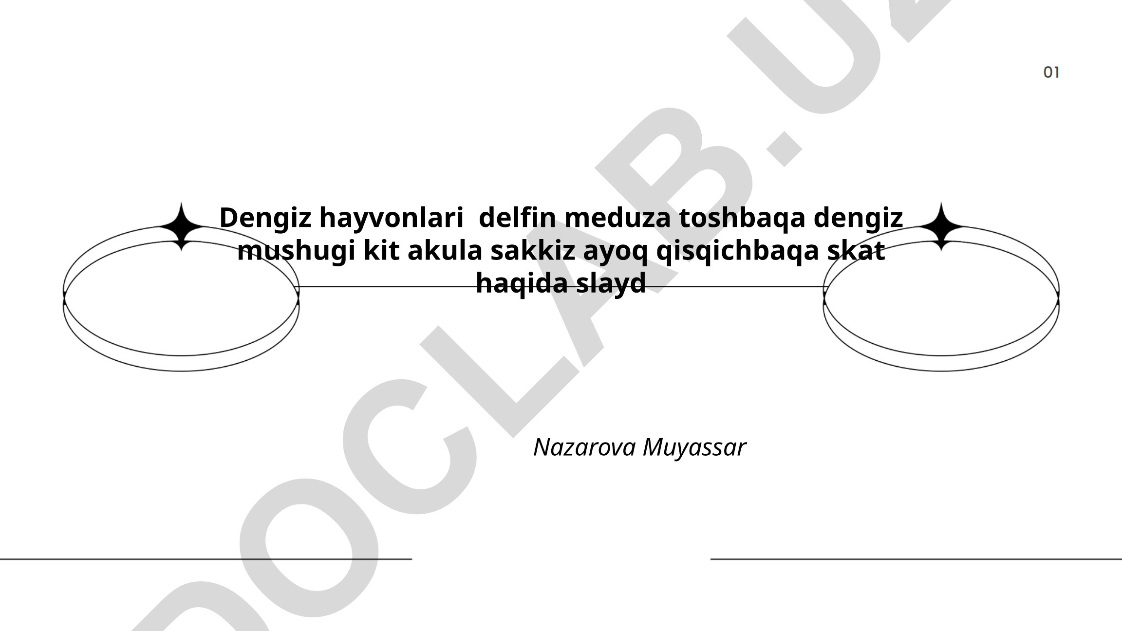 Dengiz hayvonlari: delfin, meduza, toshbaqa, kit, akula va boshqalar